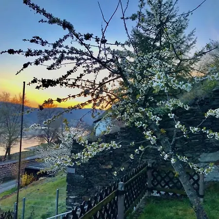 Loreleyresidenz, App Tom *